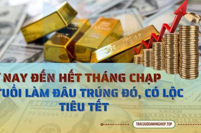 Từ nay đến hết tháng Chạp: 4 tuổi này làm đâu trúng đó, có lộc tiêu Tết